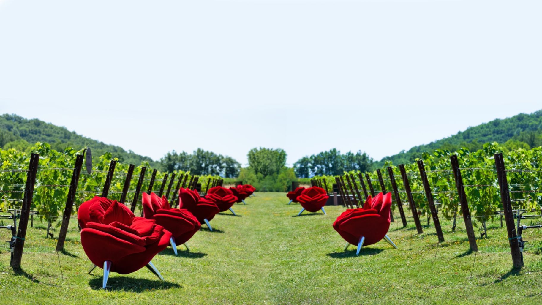   Rose Chair . Die Sessel erinnern an die Weinbautradition, bei der am Kopf jeder Reihe Rosen gepflanzt werden mussten. 