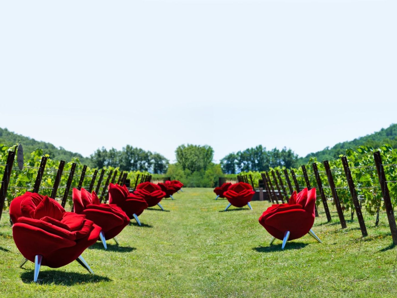   Rose Chair.  The armchairs recall the vine-growing tradition whereby roses had to be planted at the head of each row. 