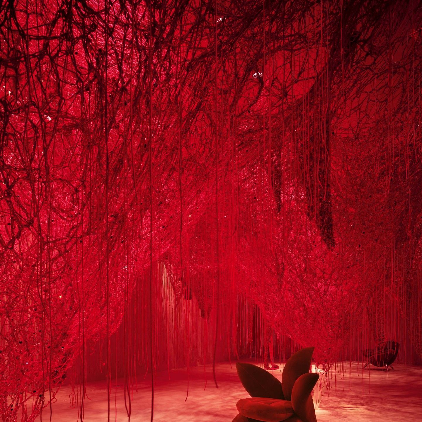  Flower Collection, Tatlin. Le poltroncine e il divano sono immerse nell&rsquo;opera &ldquo;Crystallizing Identity&rdquo; di Chiharu Shiota. 
&nbsp; 