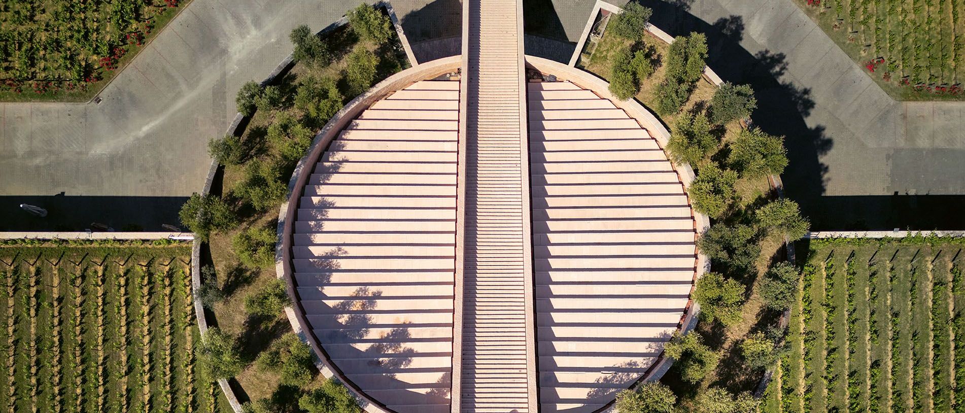  Cantina Petra. La copertura inclinata del cilindro sezionato &egrave; punteggiata da giardini pensili ed &egrave; solcata assialmente da una scenografica scalinata. 